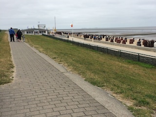 Strand, Weg auf  Deichkrone