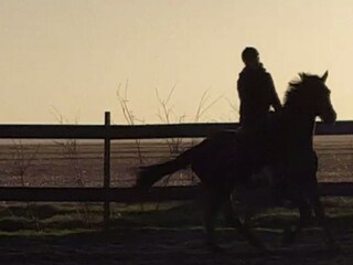 Casa per le vacanze Julianadorp Ambiente 30