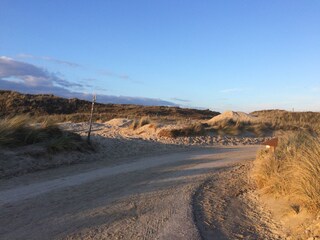 Casa per le vacanze Julianadorp Ambiente 31