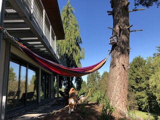 Vakantiehuis Nonnweiler Buitenaudio-opname 8
