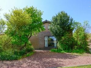 Vakantiehuis De Kievit - De Hoorn - image1