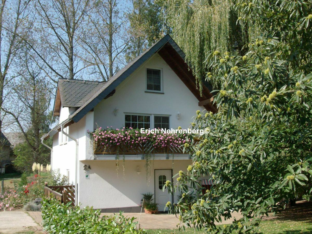 Ferienhaus bei Burg Eltz und Burg Pyrmont, Münstermaifeld, Herr Erich