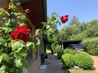 Ferienwohnung Wyk auf Föhr Außenaufnahme 4