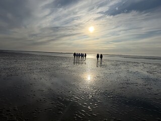 Im Wattenmeer