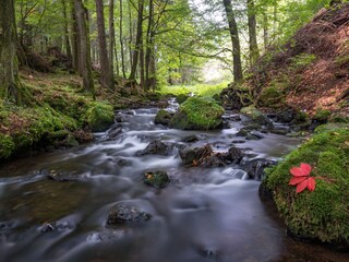 Casa per le vacanze Geraberg Ambiente 9