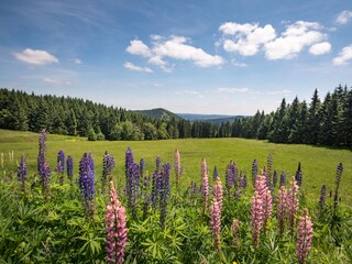 Casa per le vacanze Geraberg Ambiente 10