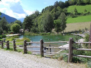 Appartamento per vacanze Lüsen  20