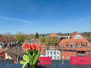 Apartamento de vacaciones Lindau am Bodensee Grabación al aire libre 5