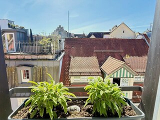 Apartamento de vacaciones Lindau am Bodensee Grabación al aire libre 11