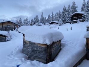 Skihut Zillertaleralpengluehn - Kaltenbach - image1