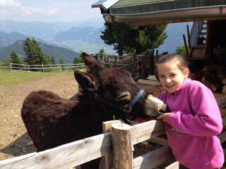 Appartamento per vacanze Kaltenbach Ambiente 29