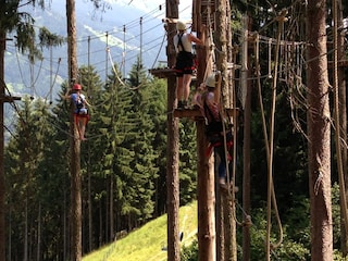 Alpenhut Kaltenbach Omgeving 28