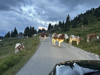 Appartamento per vacanze Kaltenbach  38
