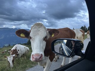 Appartamento per vacanze Kaltenbach  39