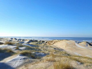 Vakantieappartement Egmond aan Zee Omgeving 20