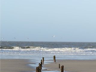 Strand Nebel