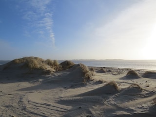 Blick auf den Kniepsand
