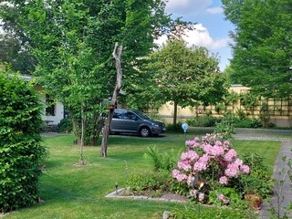 Apartamento de vacaciones Dresden-Blasewitz Grabación al aire libre 7