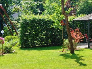Apartamento de vacaciones Dresden-Blasewitz Grabación al aire libre 10