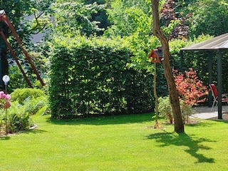 Vakantieappartement Dresden-Blasewitz Buitenaudio-opname 11