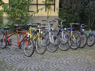 Apartamento de vacaciones Dresden-Blasewitz Entorno 31