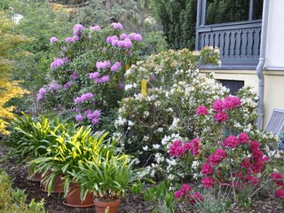 Appartamento per vacanze Dresden-Blasewitz Registrazione all'aperto 13