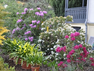 Appartement de vacances Dresden-Blasewitz Enregistrement extérieur 12