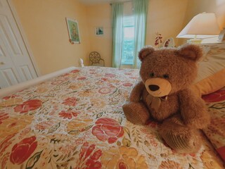 Villa Cape Coral Caratteristiche 30