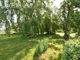Ferienhaus Hornstorf Außenaufnahme 4