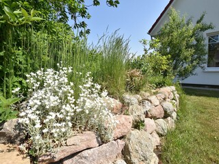 Ferienhaus Hornstorf Außenaufnahme 10