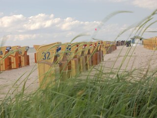 Maison de vacances Hornstorf Environnement 36