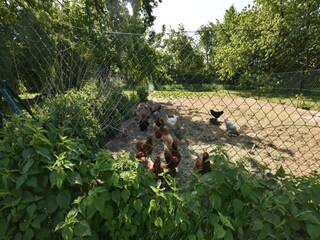 Maison de vacances Hornstorf Enregistrement extérieur 11