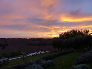 Casa per le vacanze Ostra Registrazione all'aperto 13