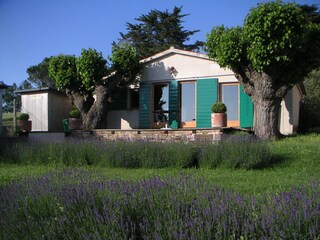 Casa per le vacanze Ostra Registrazione all'aperto 2