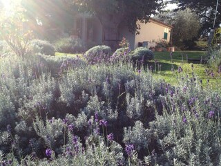 Casa per le vacanze Ostra Registrazione all'aperto 21