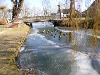 Casa per le vacanze Hooksiel Ambiente 22