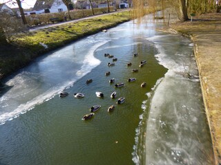 Casa per le vacanze Hooksiel Ambiente 23