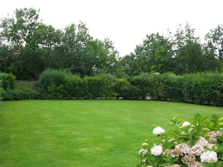 Wiese vom Haus aus
