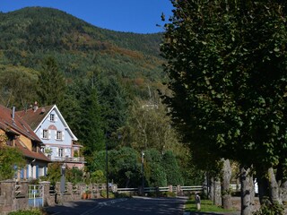 Appartamento per vacanze La Vancelle Registrazione all'aperto 5