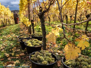 Appartamento per vacanze La Vancelle Ambiente 19