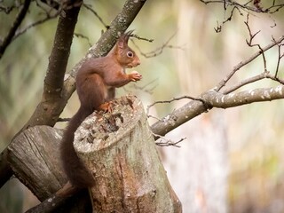 Appartamento per vacanze La Vancelle Registrazione all'aperto 9