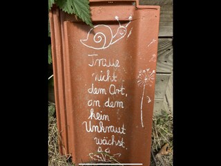 Ferienhaus Süsel Dokument 43