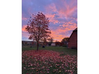 Ferienhaus Süsel Außenaufnahme 10