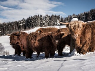 Appartamento Bruneck Ambiente 18