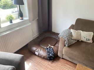 Optional Hundebett