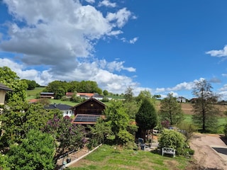 Garten - Blick vom Balkon