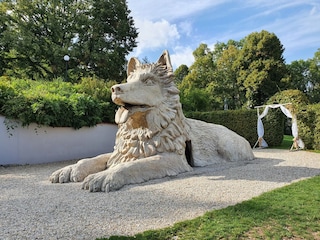 Chodenhund bei Domazlice