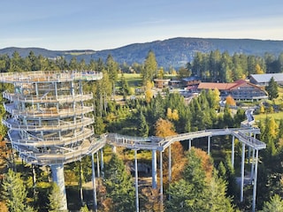 WaldWipfelWeg