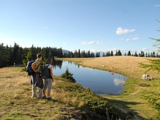 Berghütte Afritz am See Umgebung 9