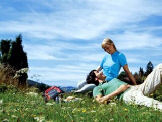 Capanna alpina Afritz am See Ambiente 10